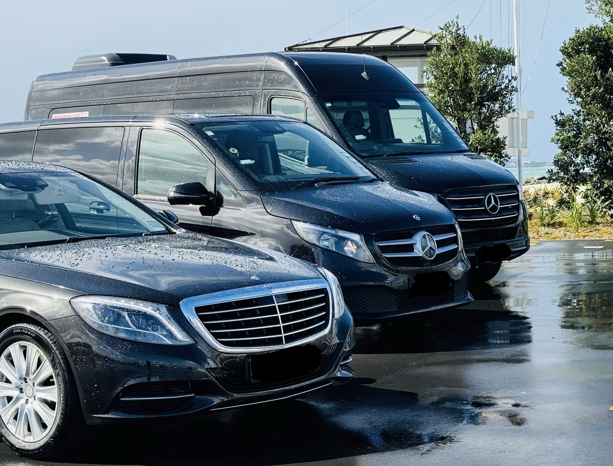 Auckland Transfers Service