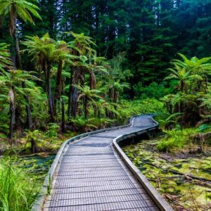 nature nz